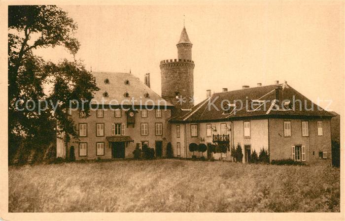 Cirey -sur-Vezouze 54 Meurthe-et-Moselle Chateau de Chatillon