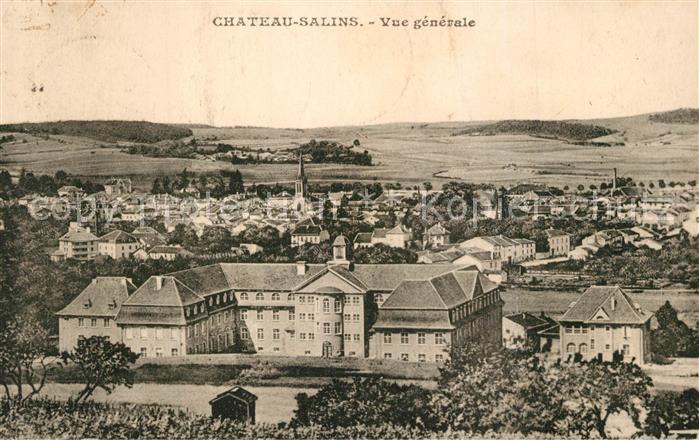 Chateau-Salins Panorama
