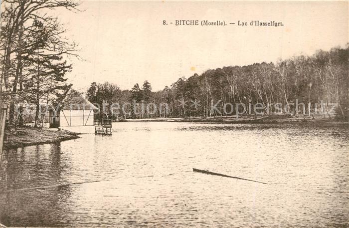 Bitche Moselle Lac d Hasselfurt