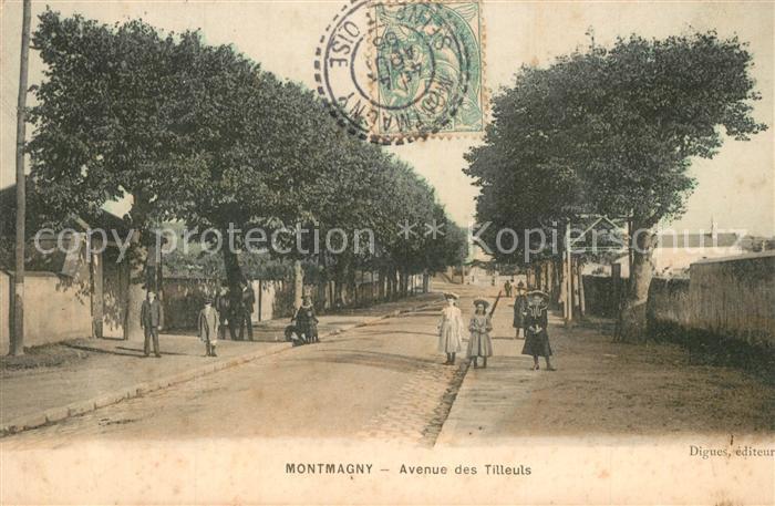 Montmagny Val-d Oise Avenue des Tilleuls