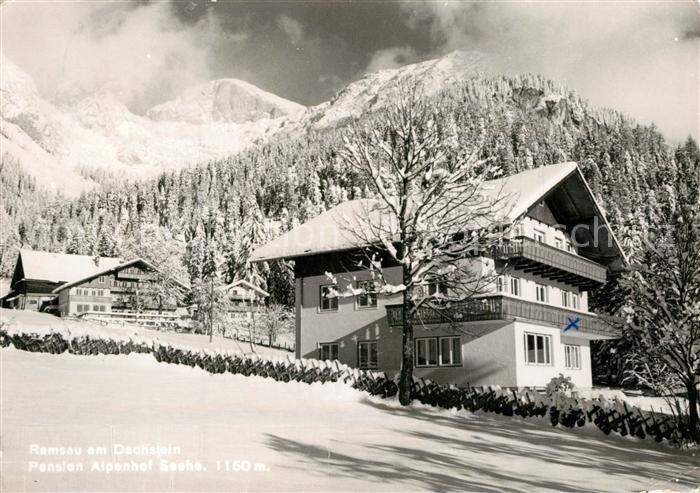 Ramsau Dachstein Steiermark Pension Alpenhof Winter