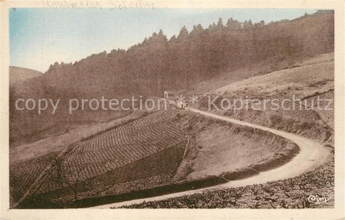 Montmelas-Saint-Sorlin Route de St Cyr le Chatoux