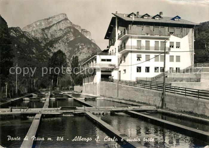 Ponte-di-Nava Albergo San Carlo e vivaio trote