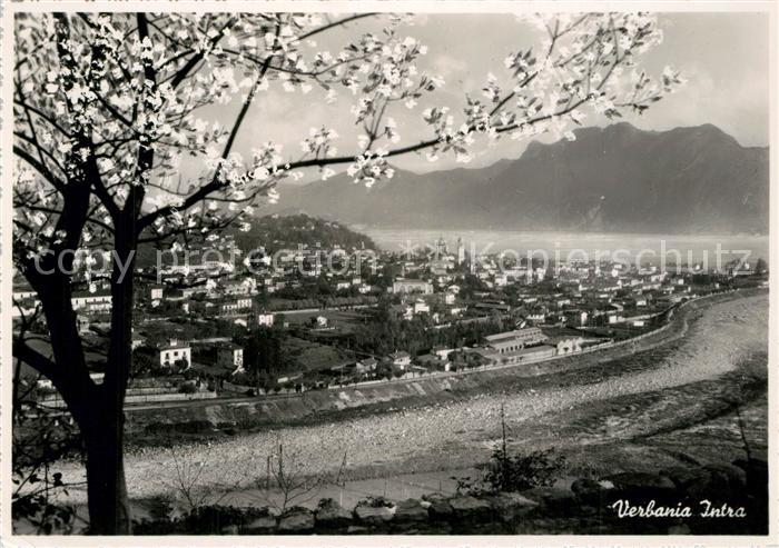Verbania Panorama
