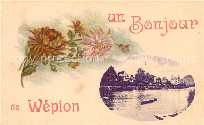 Wepion Panorama