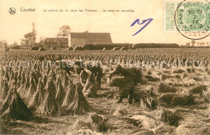 Courtrai KORTRIJK Flandre Belgie La culture du lin dans les Flandres La mise en