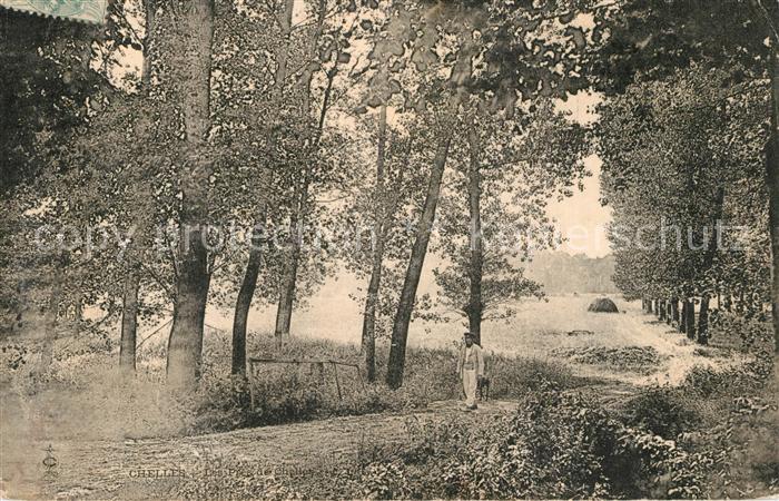 Chelles Seine-et-Marne Waldpartie