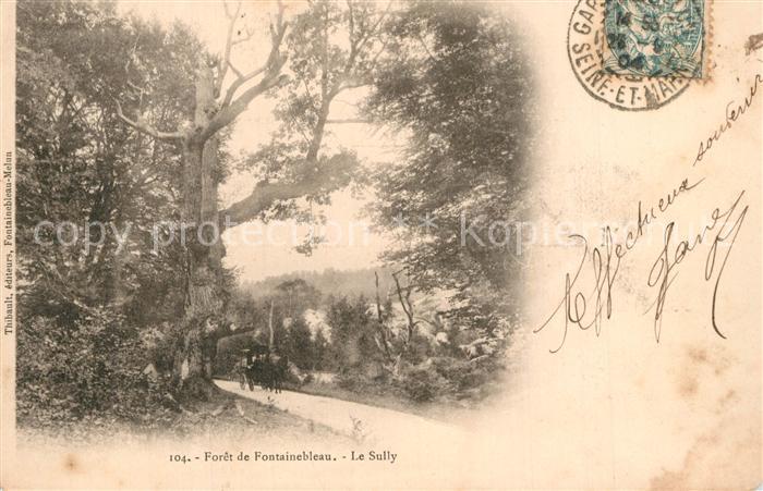 Fontainebleau Seine et Marne Le Sully