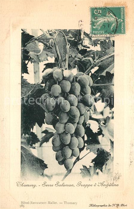 Thomery Hotel Restaurant Mallet