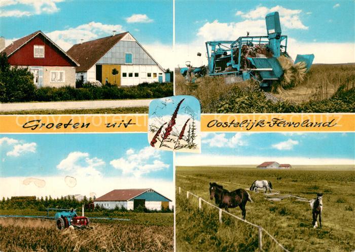 Oostelijk Flevoland Details