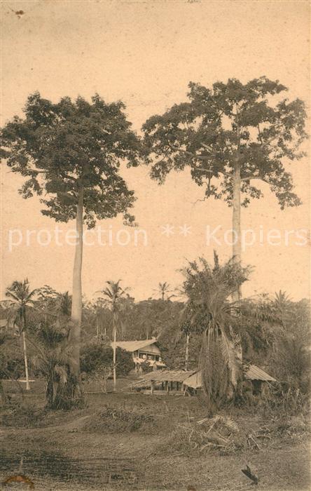 Lambarene Un coin de la station