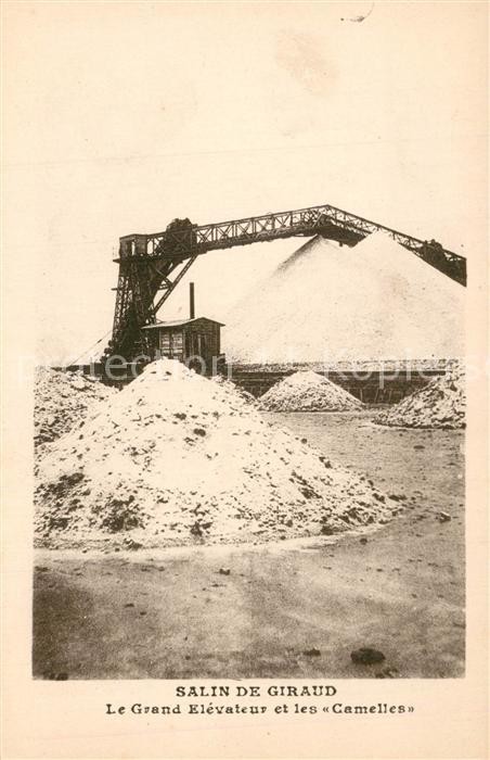 Salin-de-Giraud Le Grand Elevateur et les Camelles