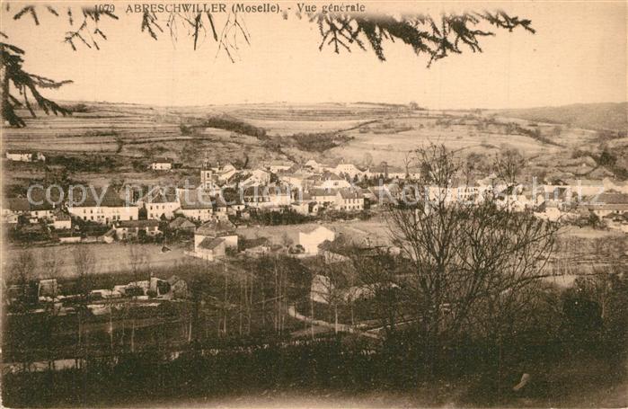 Abreschviller Moselle Vue generale