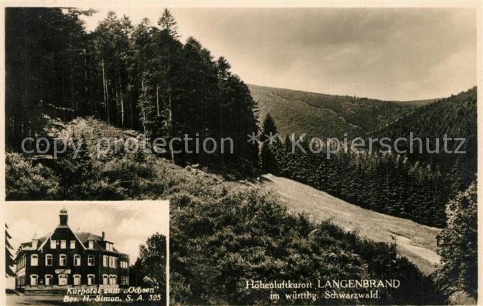 Langenbrand Forbach Kurhotel zum Ochsen Panorama