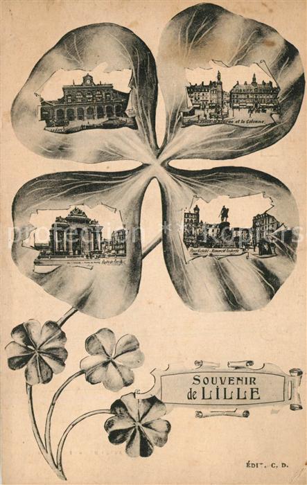 Lille Nord Vue partielle