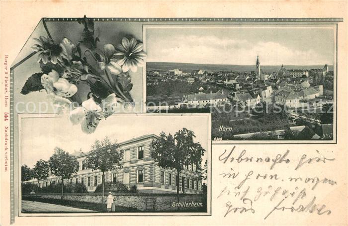 Horn Schwangau Panorama Schuelerheim