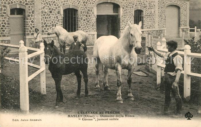 La Perche Domaine de la Ronce Girone jument suite
