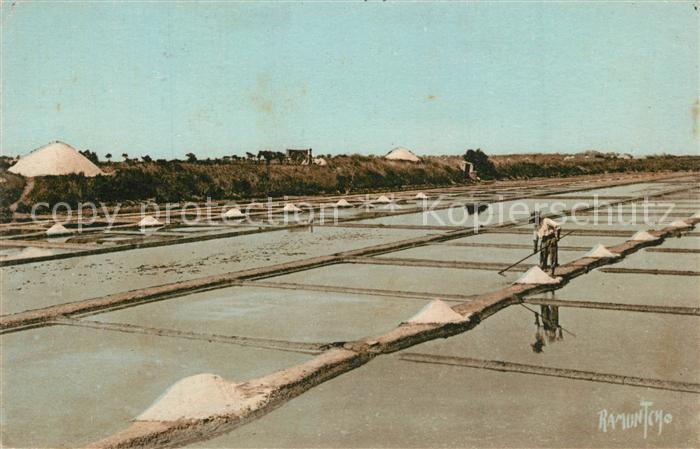 La Rochelle Charente-Maritime Marais salants
