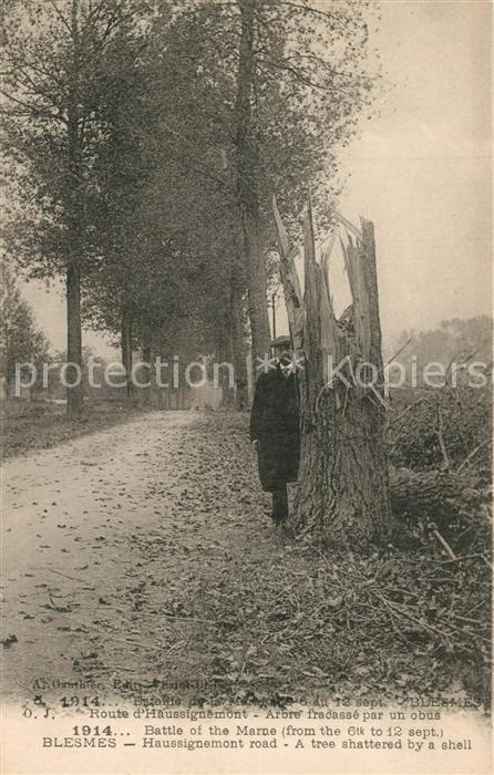 Blesmes Route d Haussignemont arbre fracassé par un obus