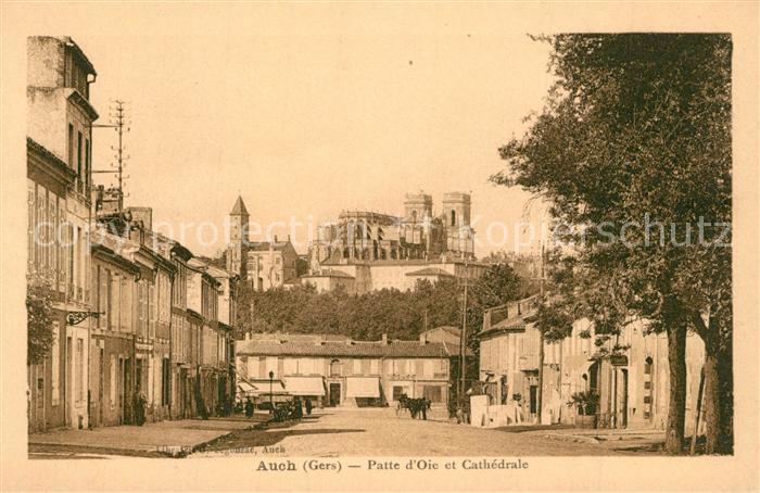 Auch Gers Patte d_Oie et Cathedrale