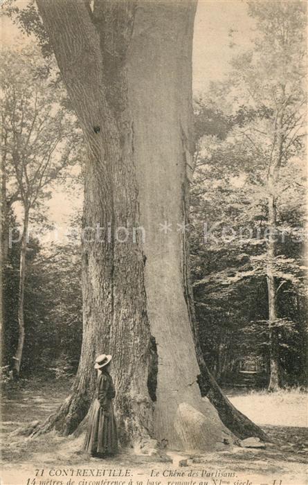Contrexeville Vosges Chêne des Partisans Arbre