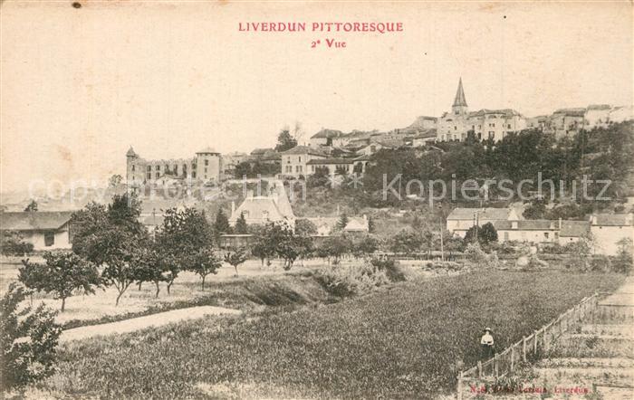 Liverdun Vue Generale