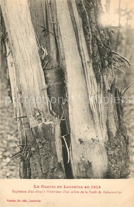 Rehainviller Explosion d’un obus a l’interieur d’un arbre de la Foret