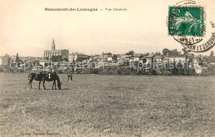 Beaumont-de-Lomagne Vue generale