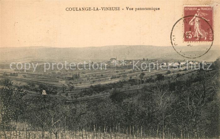 La Vineuse Vue panoramique