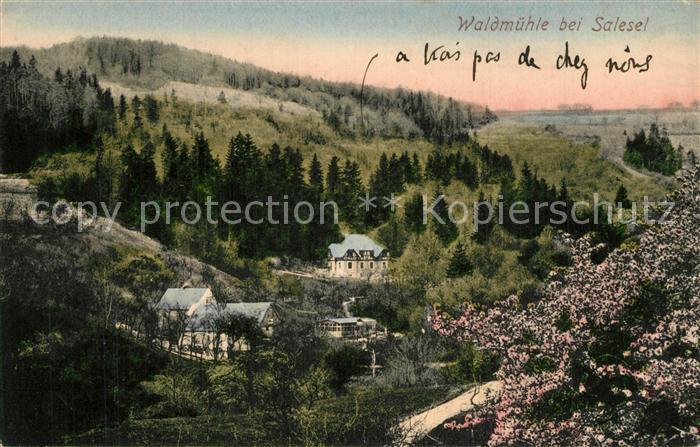 Salesel Tschechien Waldmuehle