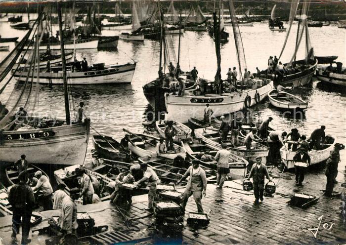 Douarnenez Le port de peche en pleine activite au retour des bateaux