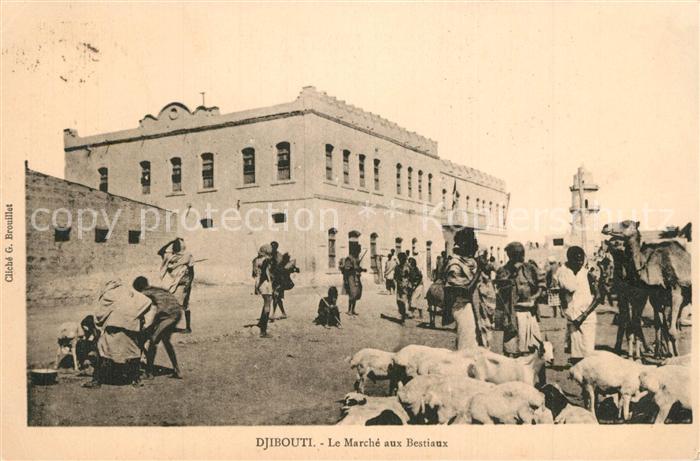 Djibouti Marche aux Bestiaux