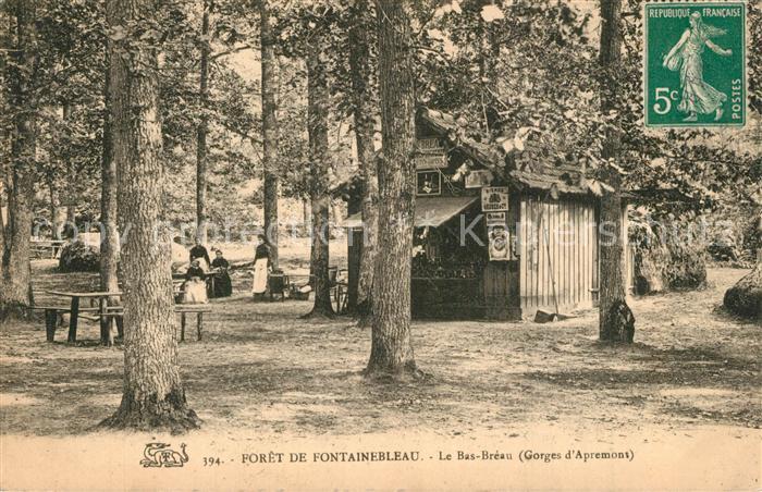 Fontainebleau Seine et Marne Foret Bas-Breau