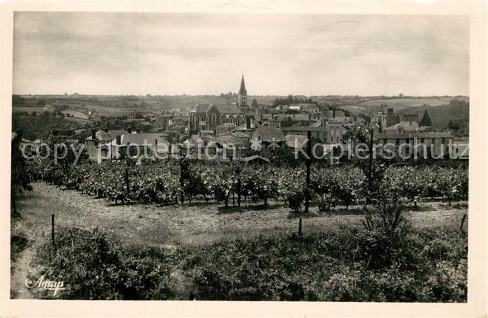 Montrevault Panorama