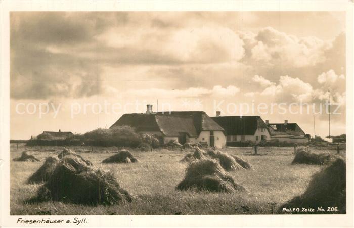 Foto Zeitz F.G. Nr. 206 Friesenh?user Sylt