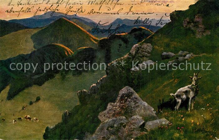 Hoffmann Heinrich Bad Belchen Hochkelch Blauen