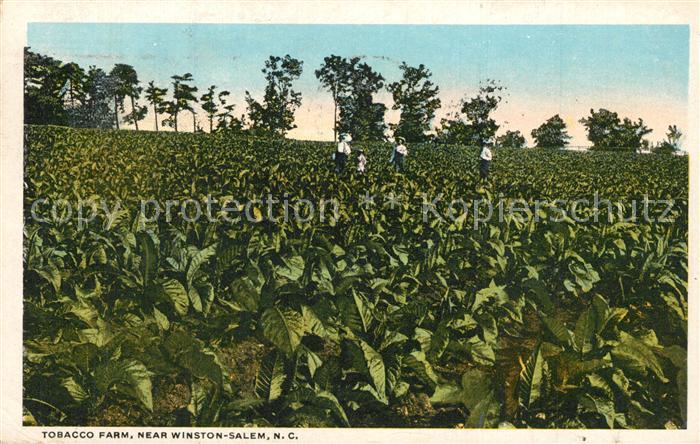 Tabak Tobacco Farm Winston-Salem
