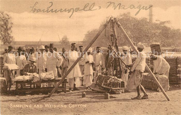 Baumwolle Cotton Wool Sampling and Weighing Cotton Bombay