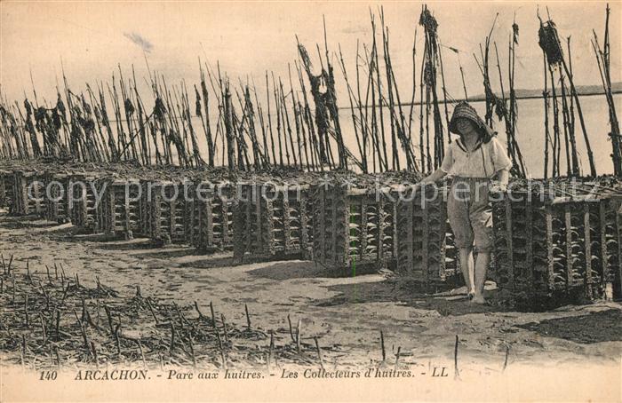 Arcachon Gironde Parc aux huitres