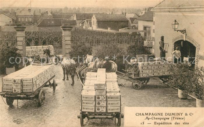 Ay 51 Marne Champagne Duminy und Co.