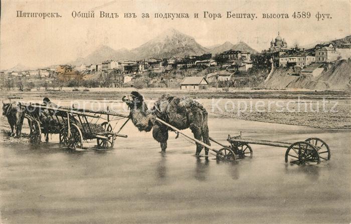 Pjatigorsk Berg Beschtau  Kamel Kuh Wagen