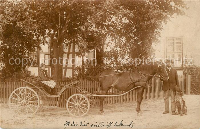 Markoldendorf Pferdekutsche Kutscher Hund
