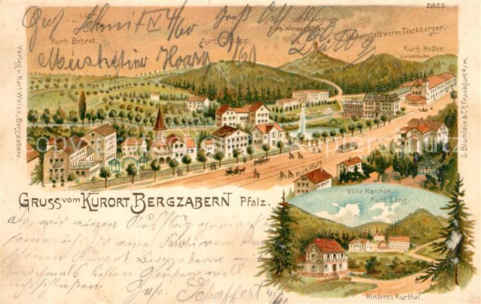 Bergzabern Bad Kurort Panorama