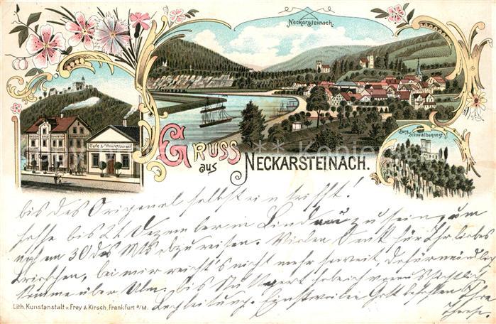 Neckarsteinach Panorama