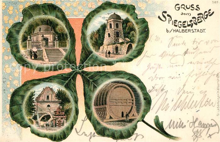 Spiegelsbergen Mausoleum Schloss Turm Das grosse Fass Kleeblatt Litho