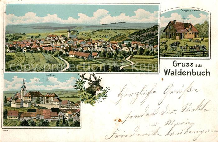 Waldenbuch Panorama Jungviehweide Schloss