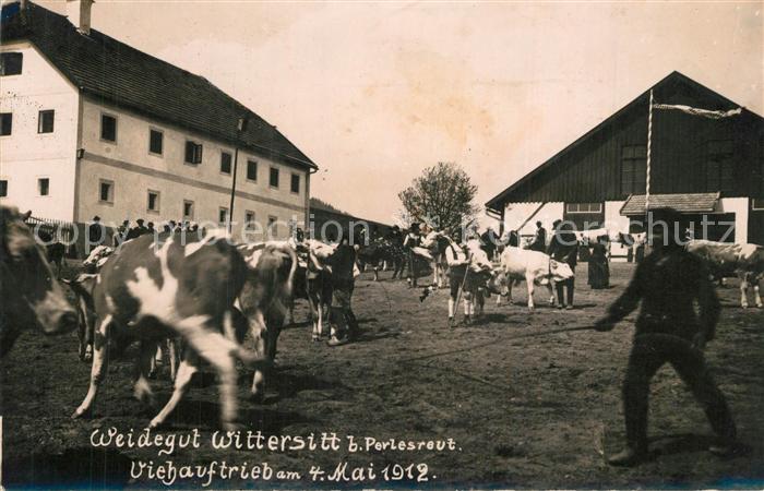 Wittersitt Viehauftrieb