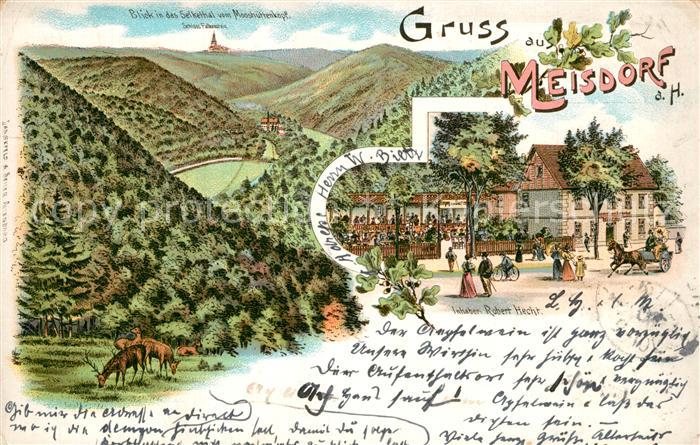 Meisdorf Blick ins Selketal vom Mooshuettenkopf Schloss Falkenstein Gasthof Lith