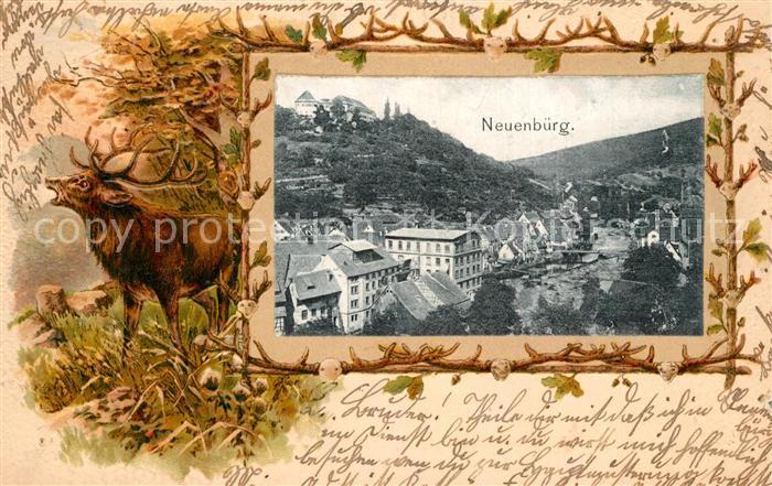 Neuenbuerg Enz Panorama Hirsch Bilderrahmen