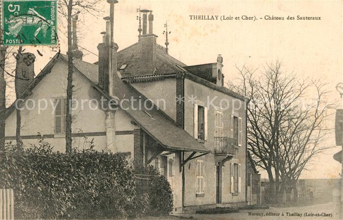 Theillay Chateau des Sauteraux Schloss
